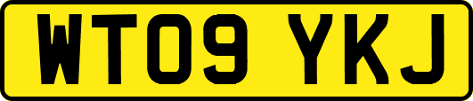 WT09YKJ