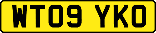 WT09YKO