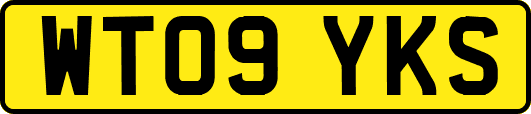 WT09YKS