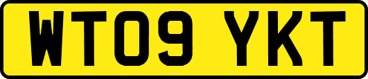 WT09YKT