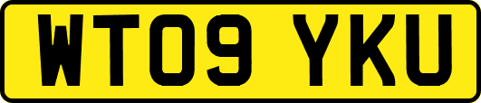 WT09YKU