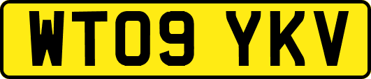 WT09YKV