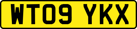 WT09YKX