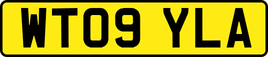 WT09YLA