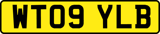 WT09YLB
