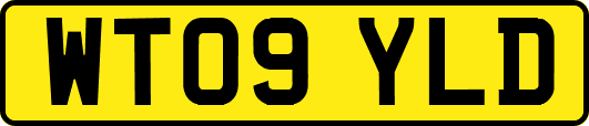 WT09YLD