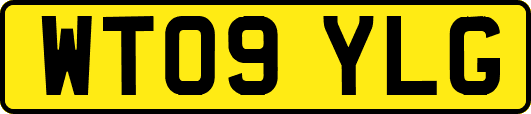WT09YLG
