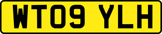 WT09YLH