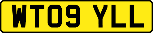 WT09YLL