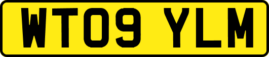 WT09YLM