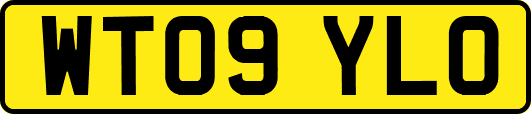 WT09YLO