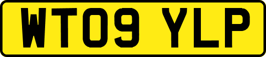 WT09YLP