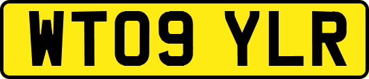 WT09YLR