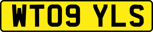 WT09YLS