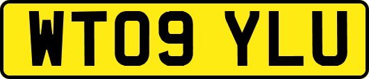 WT09YLU