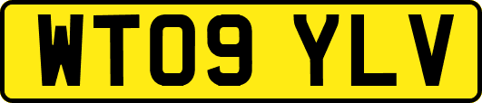 WT09YLV
