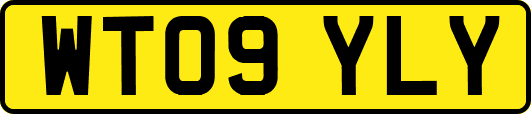 WT09YLY