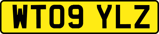 WT09YLZ