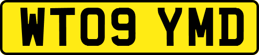 WT09YMD