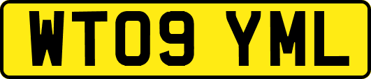 WT09YML