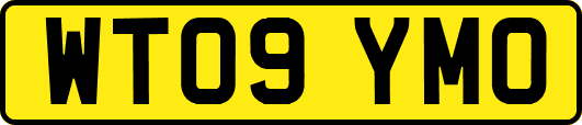 WT09YMO