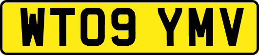 WT09YMV
