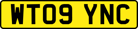 WT09YNC