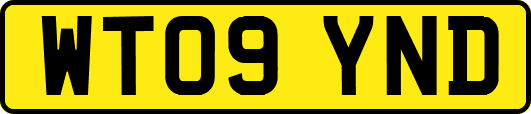 WT09YND