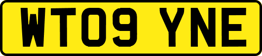 WT09YNE
