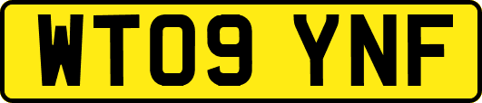 WT09YNF