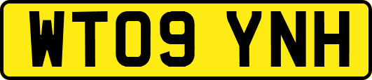 WT09YNH
