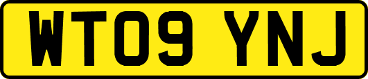 WT09YNJ