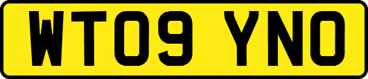 WT09YNO