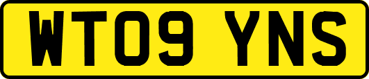 WT09YNS