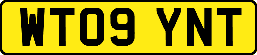 WT09YNT