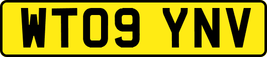 WT09YNV