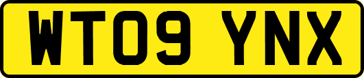 WT09YNX