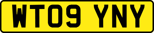 WT09YNY