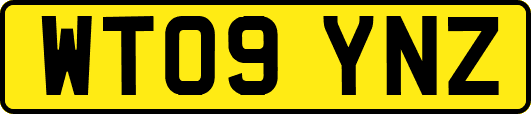 WT09YNZ