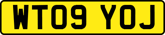 WT09YOJ