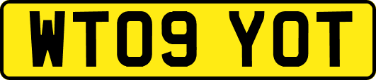 WT09YOT