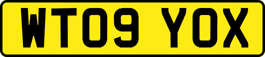 WT09YOX
