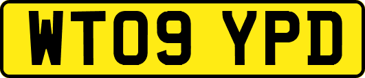 WT09YPD