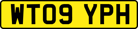 WT09YPH