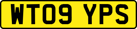 WT09YPS