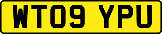 WT09YPU