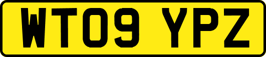 WT09YPZ