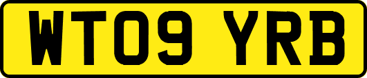 WT09YRB