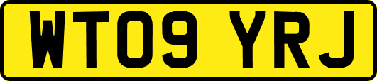 WT09YRJ