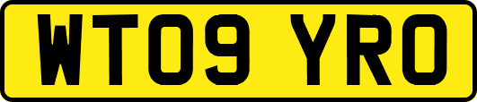 WT09YRO